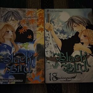 Black Bird volumes 17 & 18 English Manga by kanako Sakurakouji Shojo Beat Manga